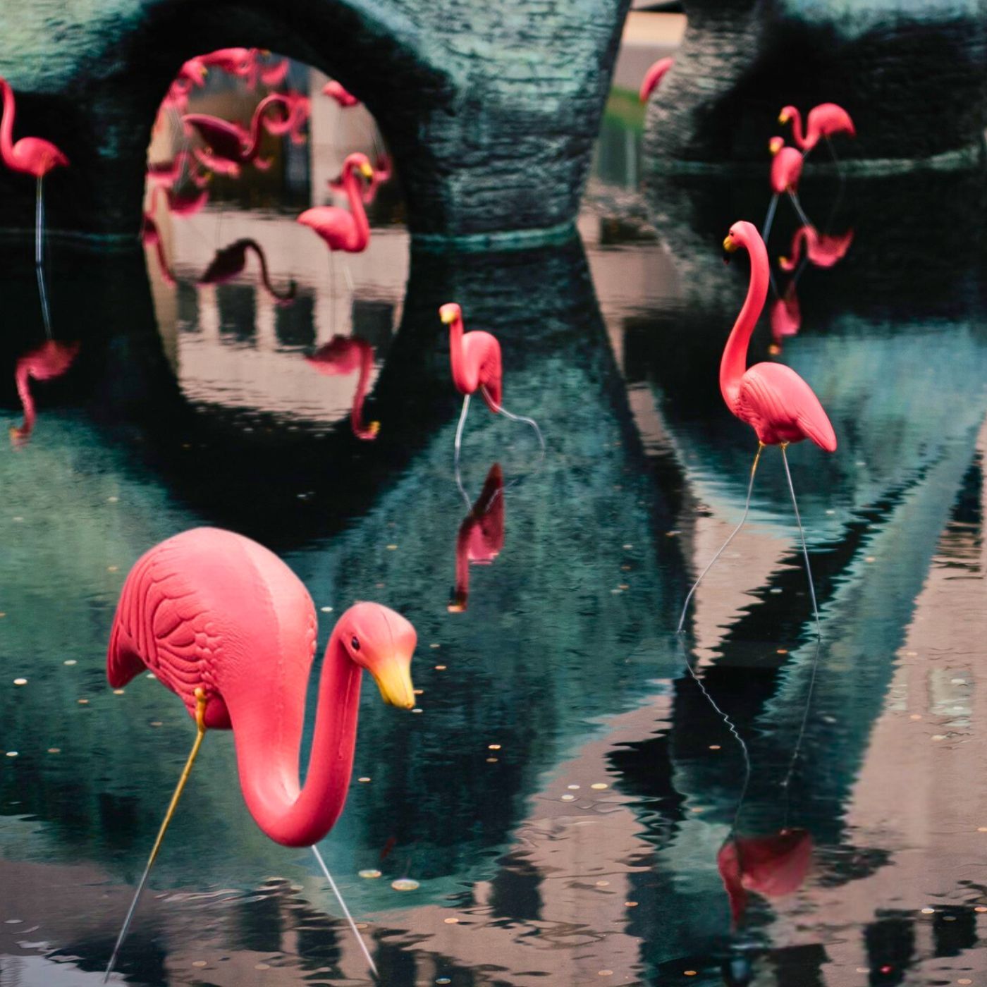 Wax Owls The Notice Album Artwork